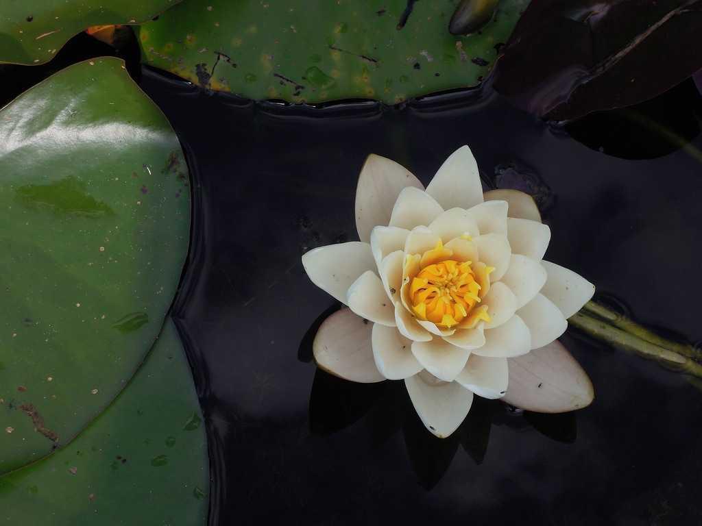 나주시 토지보상 안내 이미지
