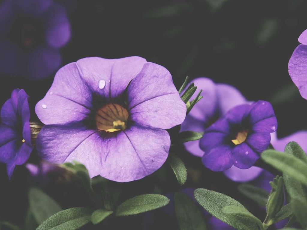 부산 사하구 기업 민원·행정규제 대응 컨설팅 사례 – 최신 사례 기반 행정사 실무 안내